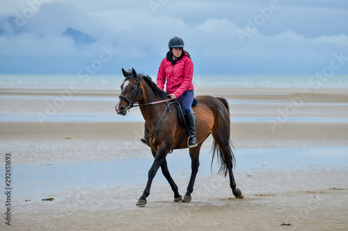 Young woman riding her horse on a deserted beach  © dabyg