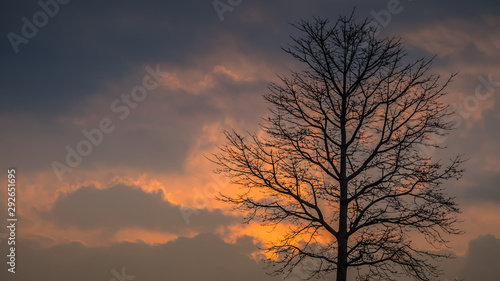 Sunset Silhouette © Jusak