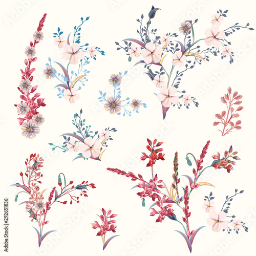 Set of vector field flowers for design