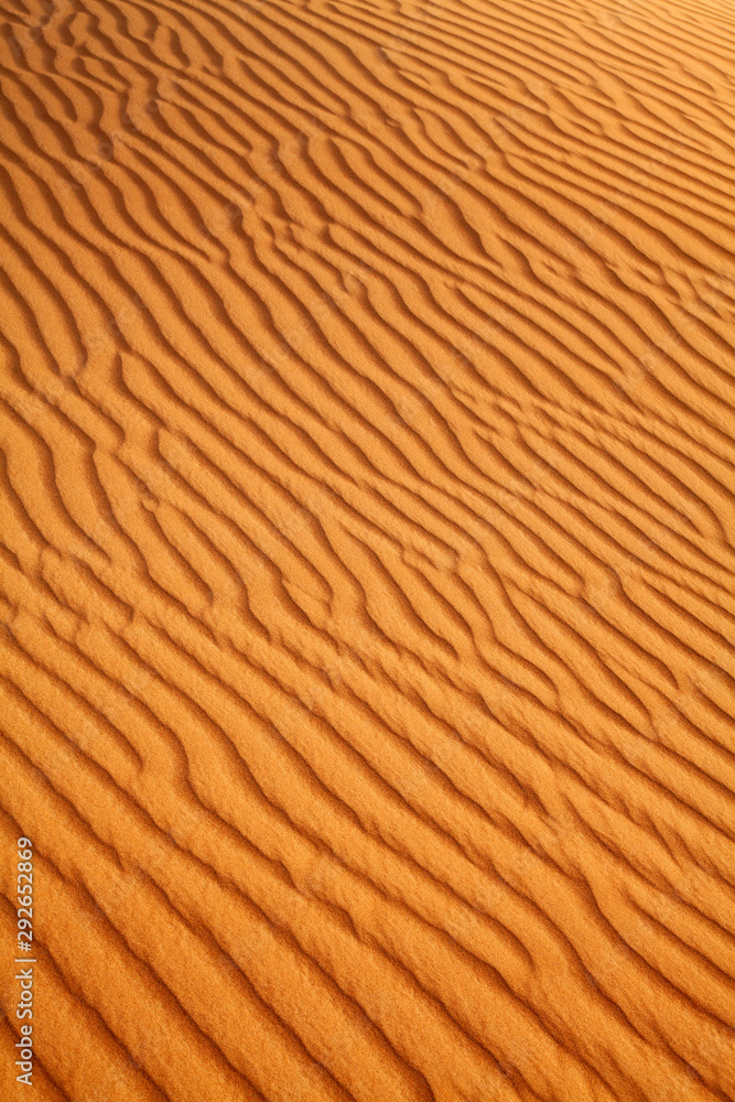 Red sand desert Red sand desert
