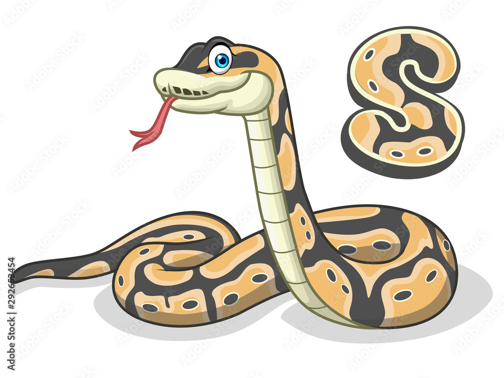A cute snake character or ball phyton with letter S isolated on white background. A cute snake character or ball phyton with letter S isolated on white background.