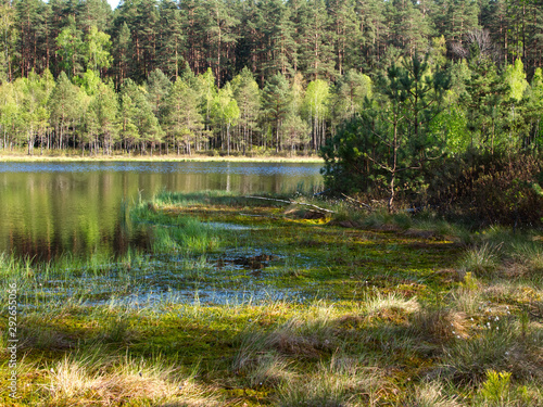 Mazurski Park Krajobrazowy rezerwat Zakret w którym wystepują których występują tzw. wyspy pływające.