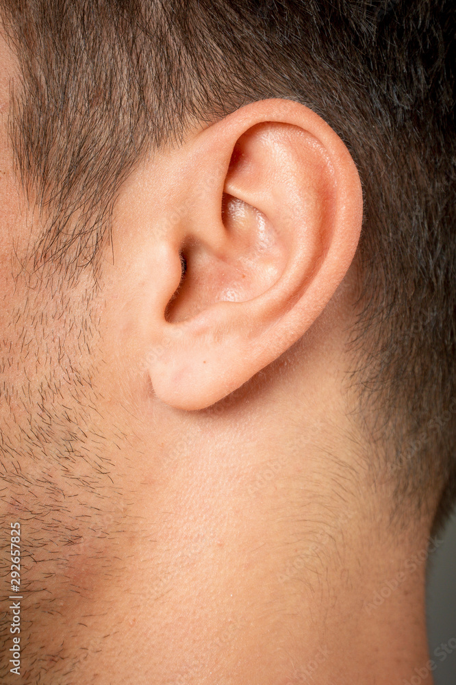 macro close-up shot of human ear macro close-up shot of human ear