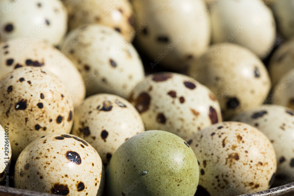 Quail eggs are considered a delicacy in many parts of the world.