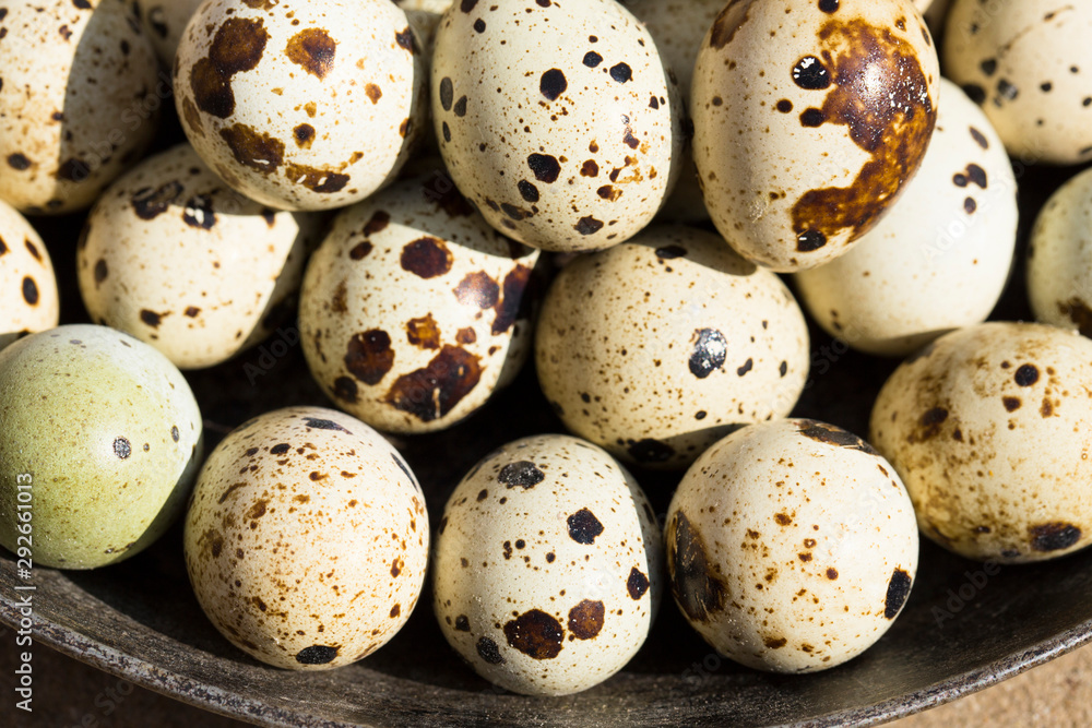Quail eggs are considered a delicacy in many parts of the world.
