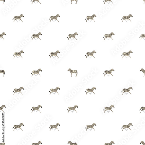 Vector seamless pattern with zebras on white background. © slybrowney