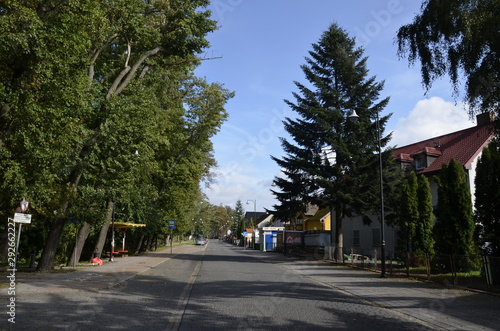 Fototapeta Naklejka Na Ścianę i Meble -  drzew, krajobraz, charakter, niebo, bory, jary, drzew, droga, jesienią, gras, blękit, pola, zieleń, countryside, kraj, obszarów wiejskich, park, drewna, chmura, pora roku, hayfield, brzoza, nasłoneczn