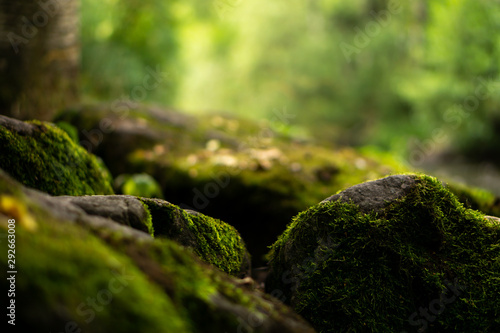 green moss on stones