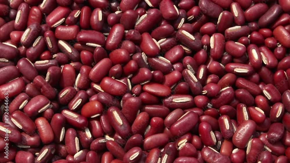 red beans background rotation top view red beans background rotation top view