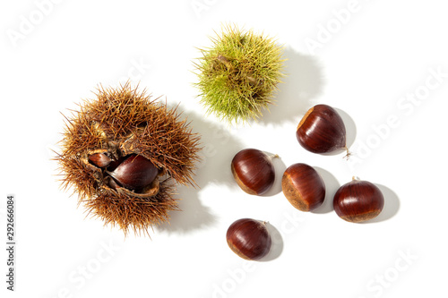 Foto Sweet Chestnut and husk isolated on white background