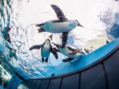 I enjoyed the aquarium photo