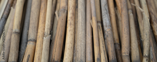 Texture of bamboo rods. A background with copy space.