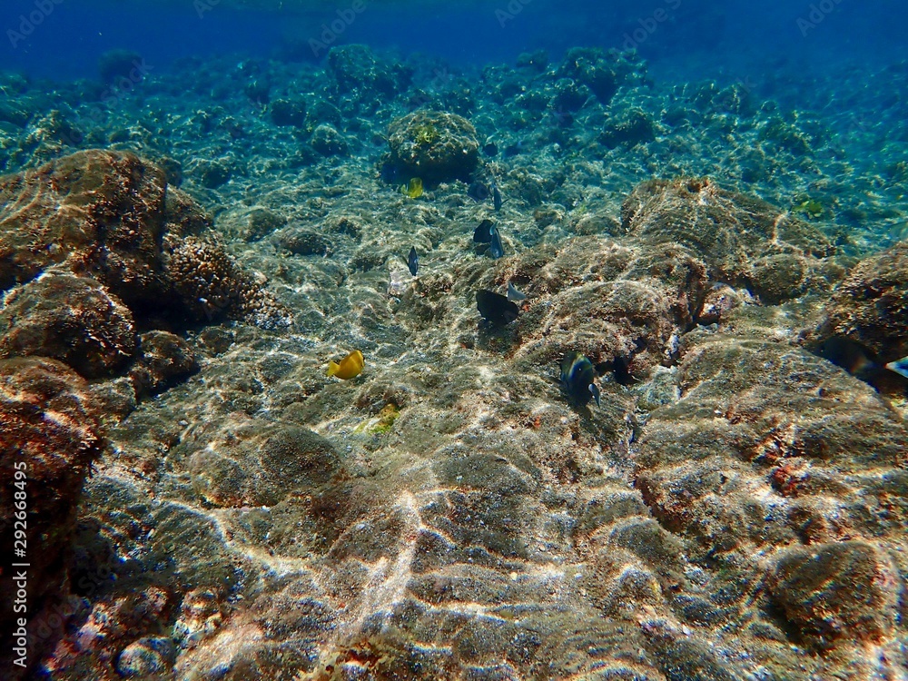 南伊豆　ヒリゾ浜でシュノーケル