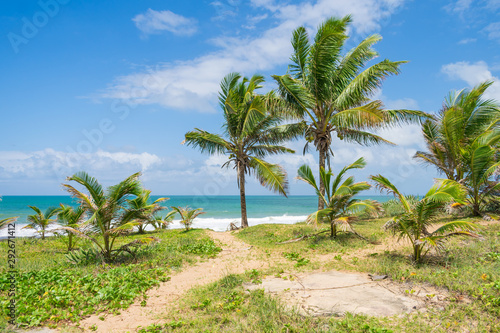 A view of the beach near the Hippie village in Arembepe (Bahia, Brazil)