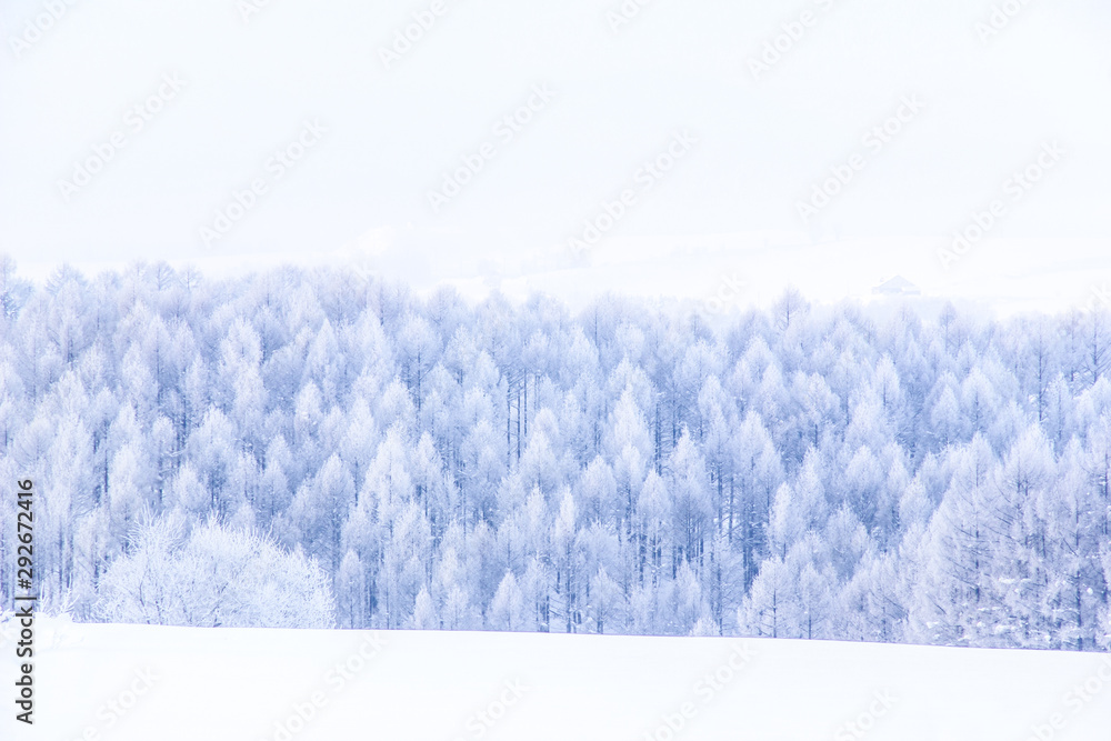 北海道の冬景色stock Photo Adobe Stock