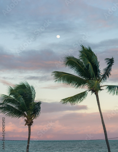 Colorful sunset sky, ocean view, full moon and coconut trees in Ilha de Itamaraca, Brazil