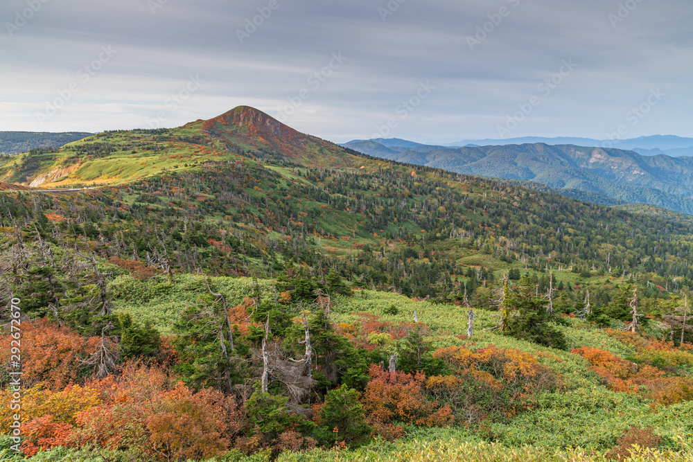 Fototapeta premium Towada Hachimantai National Park in early autumn