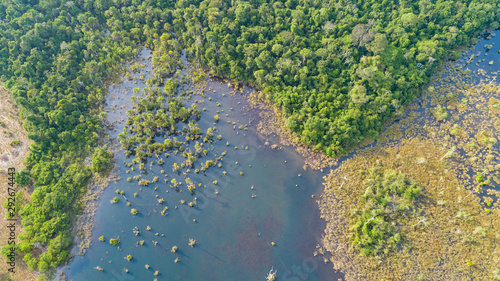 Aerial view of an Amazon lagoon with palms in and around, natural island in a agricultural area, environmental protection, San Jose do Rio Claro, Mato Grosso, Brazil
