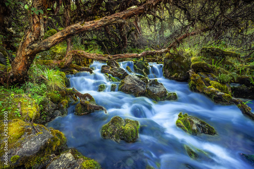 The Dreamy Wakawasi River in the Peruvian Jungle