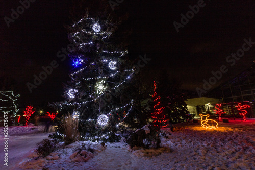 Zoo lights heralds the Christmas season, Calgary, Alberta, Canada photo