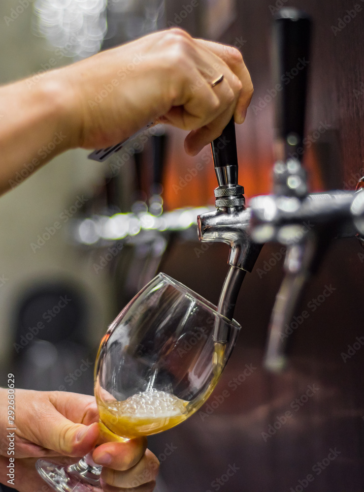 bartender hand at beer tap pouring a draught beer in glass serving in a restaurant or pub
