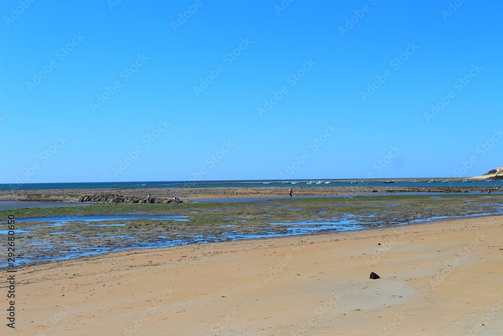 La plage de la Remigeasse à marée basse