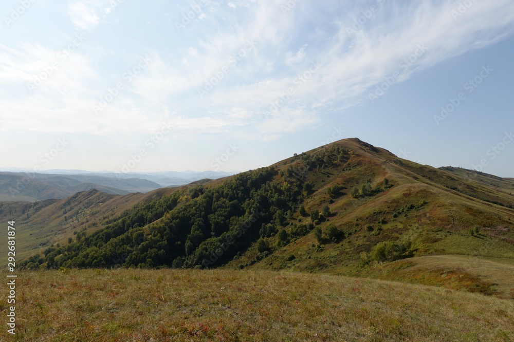 Fototapeta premium Foothills of the Altai Mountains. Western Siberia. Russia