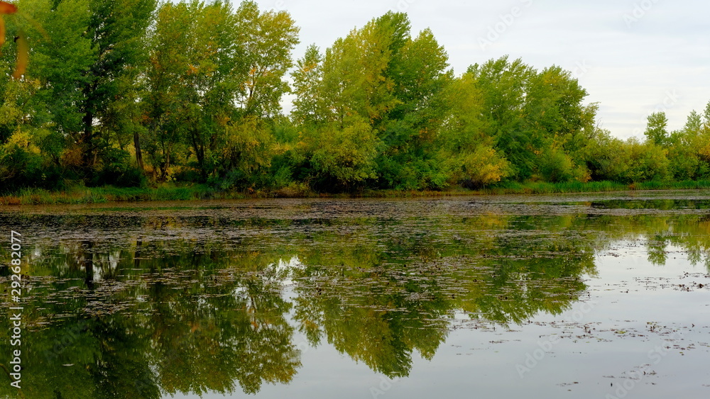 Lake in the forest. Reflection of trees in the water Lake in the forest. Reflection of trees in the water