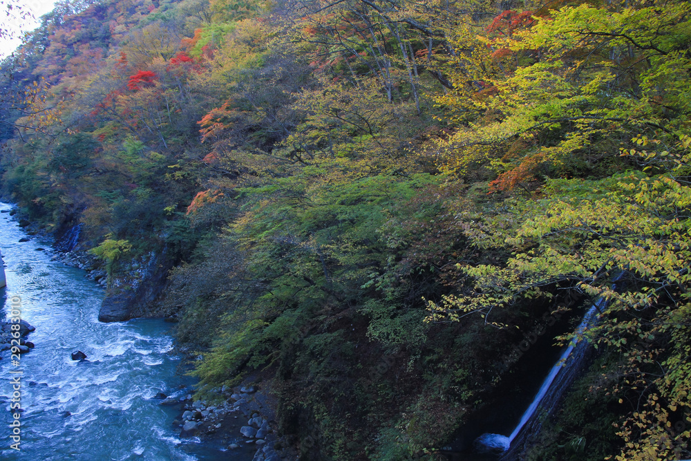 吾妻渓谷 吾妻川と白糸の滝 紅葉 Stock Photo Adobe Stock