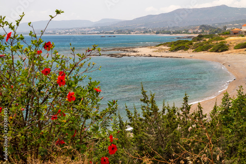Scenic view at the coastline of Kiotari on Rhodes island, Greece with gravel beach and red flowers in the foreground