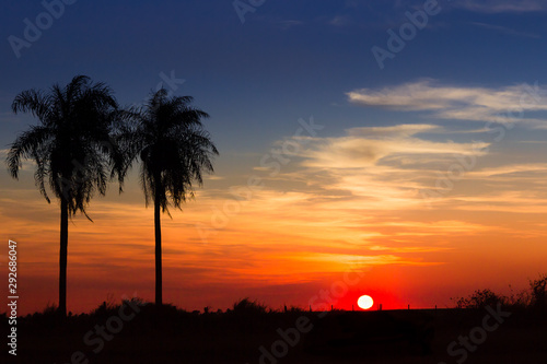 Sunset Hour on the Prairie outside Santa Maria  Paraguay