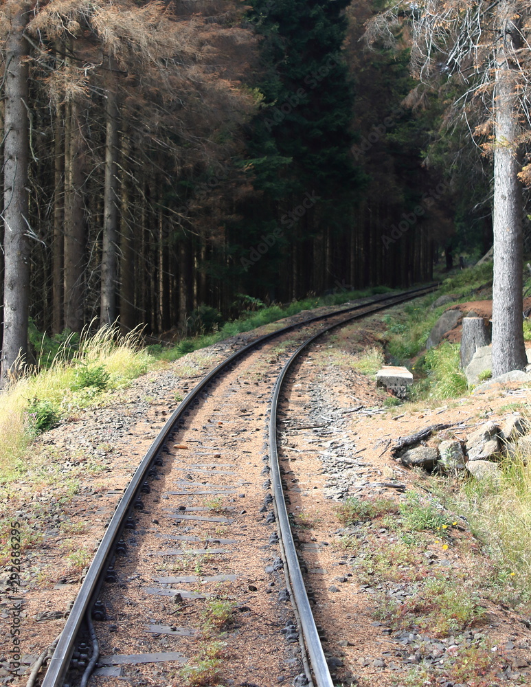 Bahnstrecke in die Tiefen des Waldes Stock Photo Adobe Stock