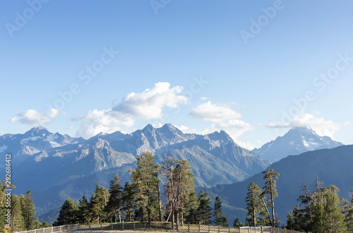 Mountain panorama on a sunny day. mountain tops, forest and white clouds on blue sky