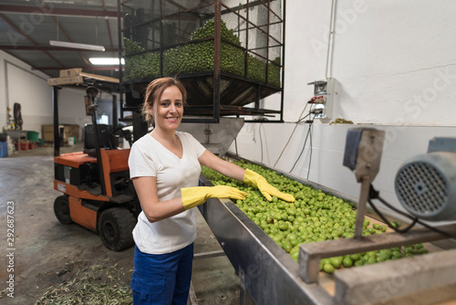 Woman working selecting olives in little indoors olives factory