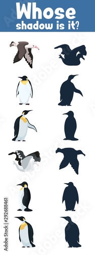 game where whose shadow Antarctica wild birds