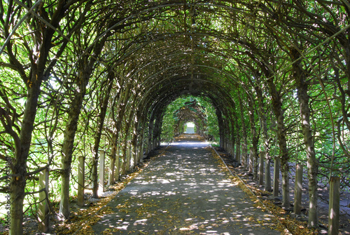 Papier peint Trellis in Garden of Snug Harbor - Beautiful Long Archway