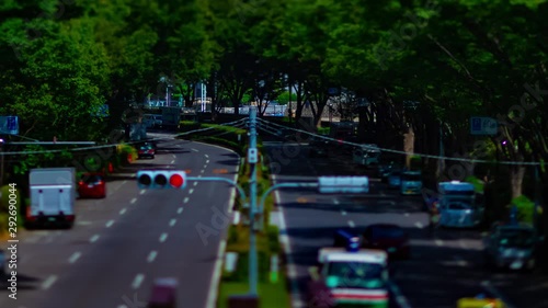 A timelapse of green street near Yoyogi park in Tokyo daytime tiltshit panning photo