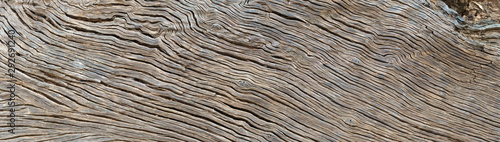 panorama view of old wood texture photo