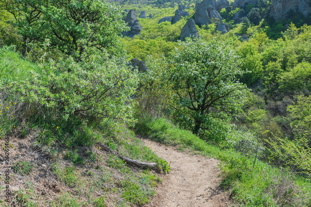 Hiking pathway- journey through roads, mystical nature Hiking pathway- journey through roads, mystical nature
