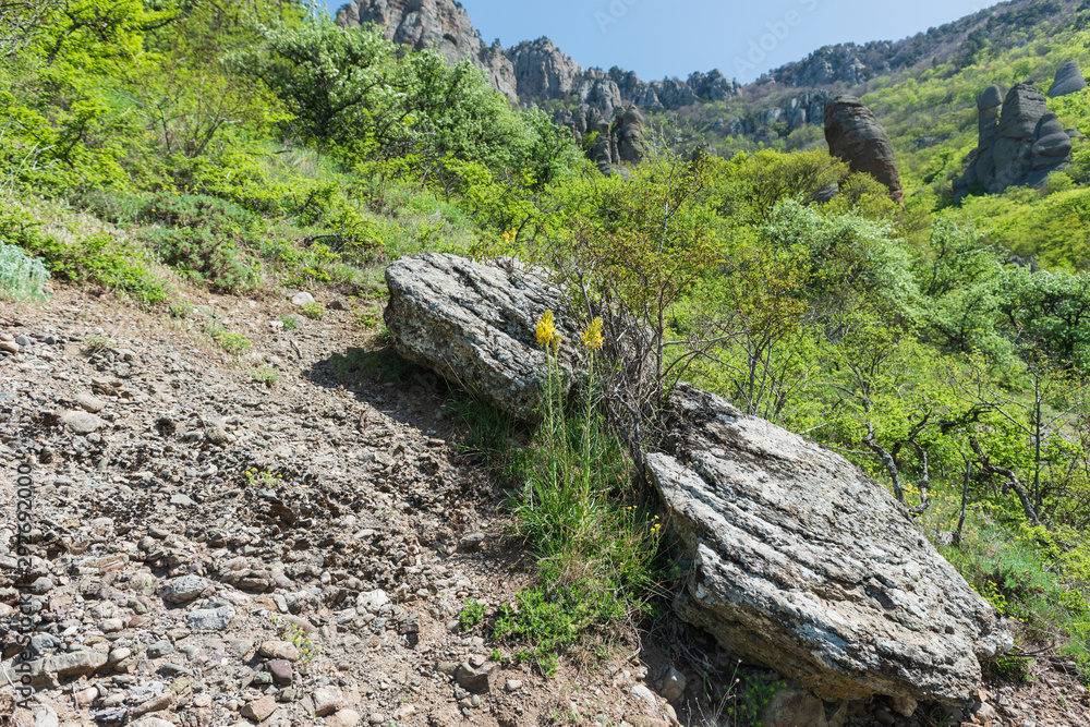 Hiking pathway- journey through roads, mystical nature Hiking pathway- journey through roads, mystical nature