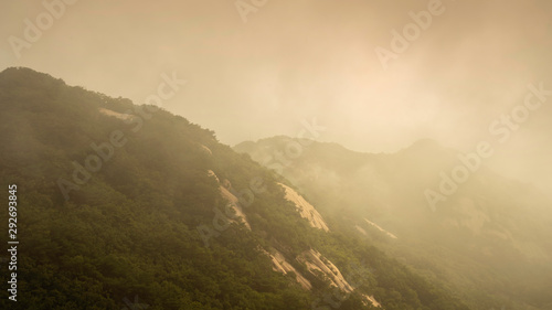 Mountain covered with mist and fog © dip