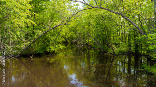Swampy river off highway in Virginia © David