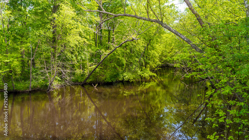 Swampy river off highway in Virginia
