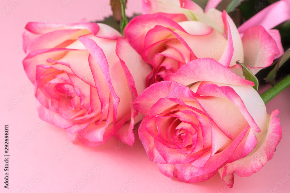 beautiful flowers bouquet with creamy rose on pink festive background, greeting card, copy space beautiful flowers bouquet with creamy rose on pink festive background, greeting card, copy space