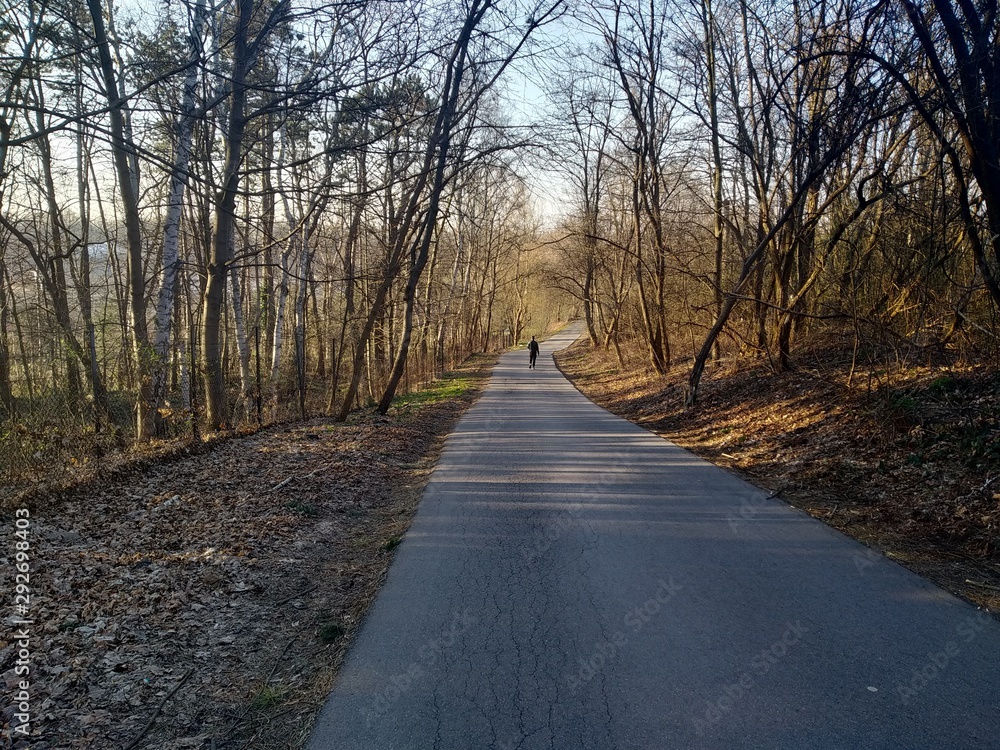 Fototapeta premium Krakow - Poland's historic center, a city with ancient architecture.