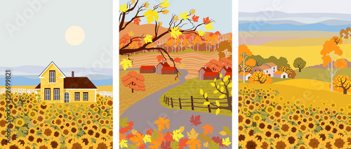 Pack of cartoon flat village with sunflower growing in front. Autumn season v...