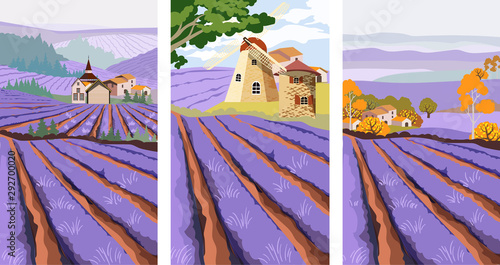 Pack of lavender field with old mill and green tree on background. Cartoon flat style vector