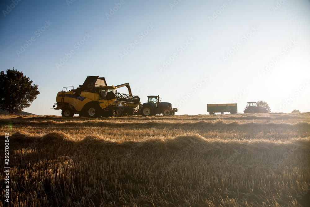Fototapeta premium yellow harvester