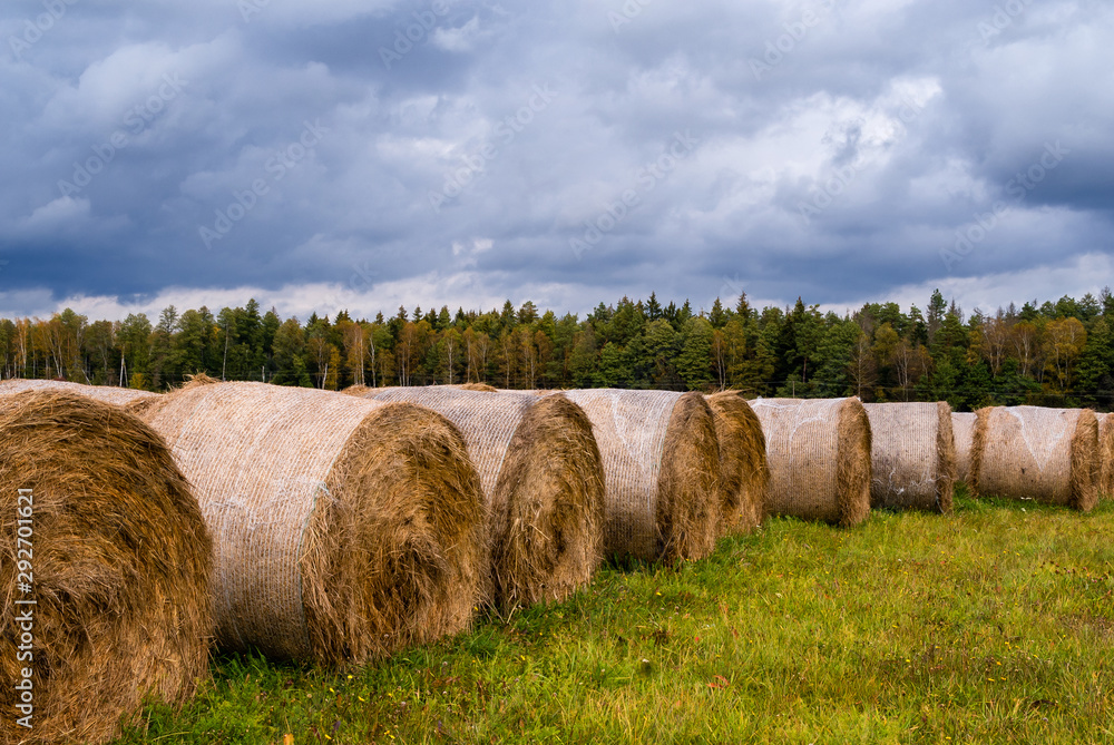 Jesień w okolicach Supraśla, Podlasie, Polska Jesień w okolicach Supraśla, Podlasie, Polska