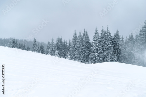 Winter mountains powder slope. Carpathians hill snow covered